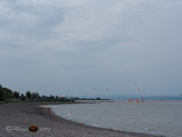 Musikalische Tagesfahrt zum Neusiedlersee am 21. 08. 2024